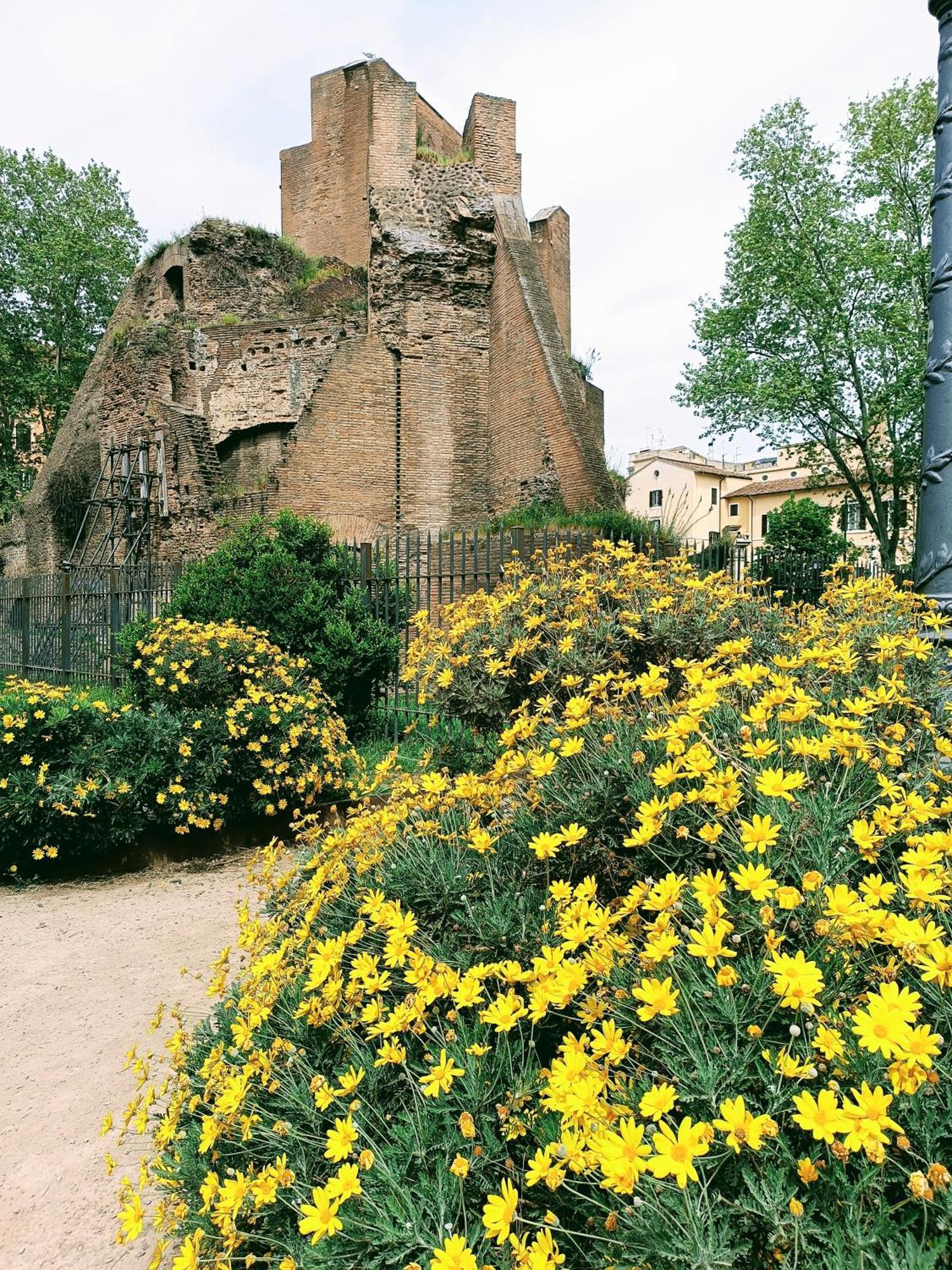 Porta Maggiore 9 Roma Locazione Turistica Zewnętrze zdjęcie
